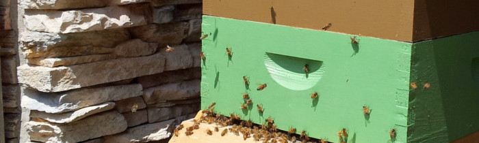 Portland Urban Beekeepers