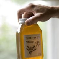 Honey from Northeast, North and Southeast Portland for sale
