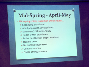 springchecklist