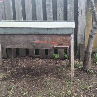 Warre hive with bees and Top Bar Hive with Bees for sale
