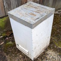 Warre hive and swarm trap