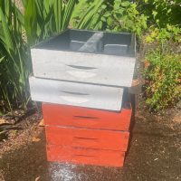 Top Feeders with Painted Supers