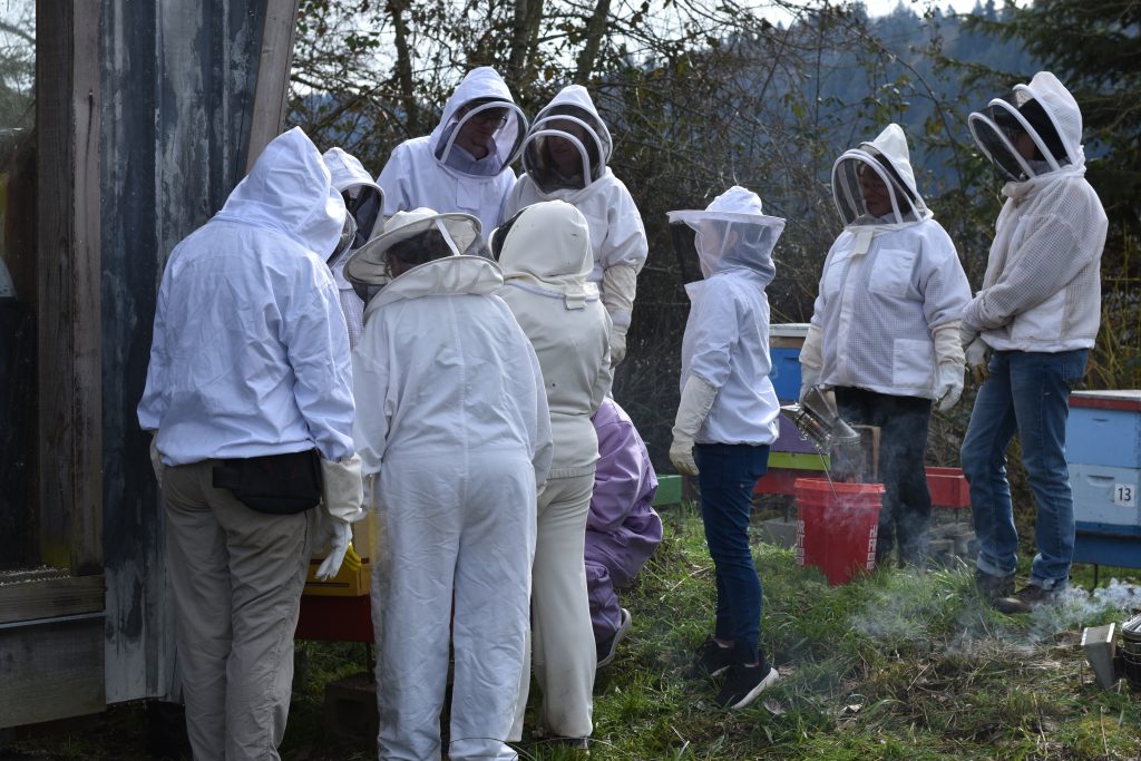 We were lucky with the weather today! It was 56 degrees and the bees were flying. We were able to briefly open two live colonies and do a forensic analysis on a deadout.